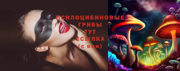 кокс Богородицк