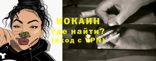 кокс Богородицк