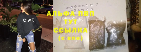 сатива Богородск