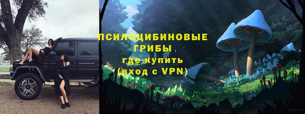 сатива Богородск