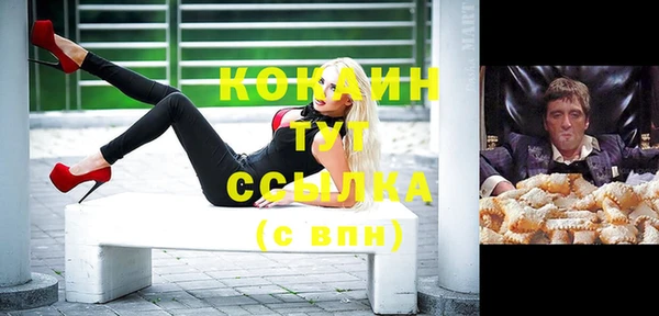 кокс Богородицк